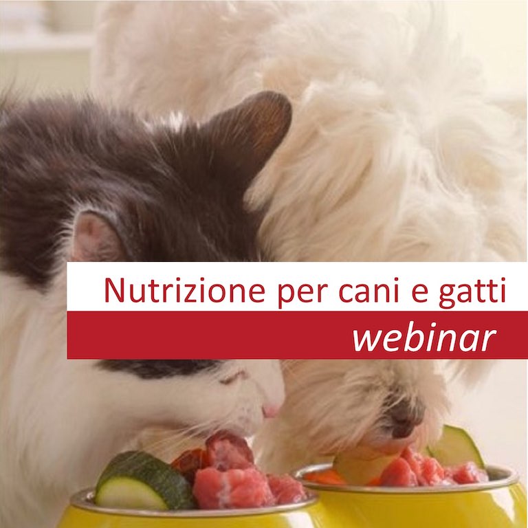 Webinar - Alimentazione per cane e gatto: diete industriale, casalinga e cruda